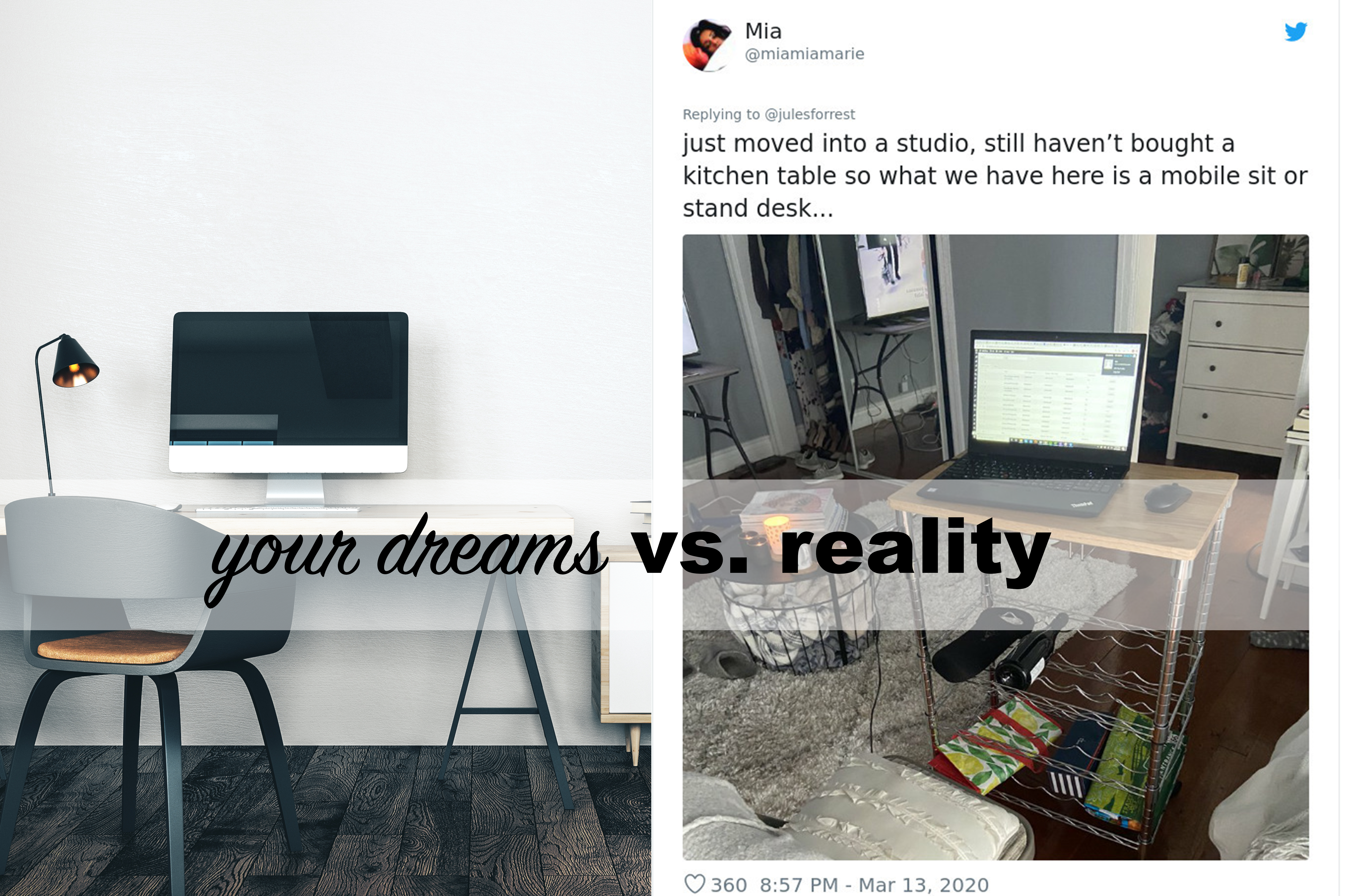 What You Thought Working From Home Would Be Like vs. Reality